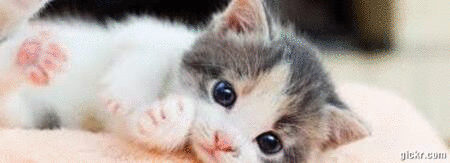 Animated GIF made with Gickr