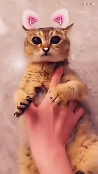 Animated GIF made with Gickr