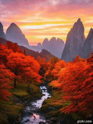 Animated GIF made with Gickr