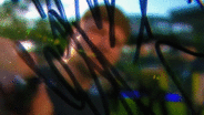 Animated GIF made with Gickr