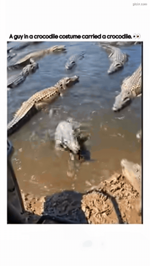 Animated GIF made with Gickr