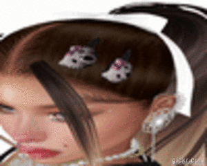 Animated GIF made with Gickr