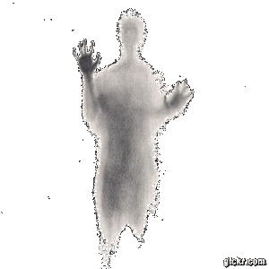 Animated GIF made with Gickr