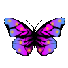 Animated GIF made with Gickr