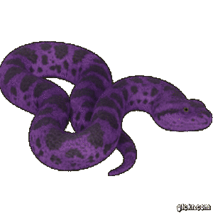 Animated GIF made with Gickr