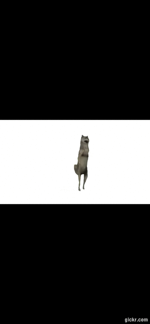 Animated GIF made with Gickr