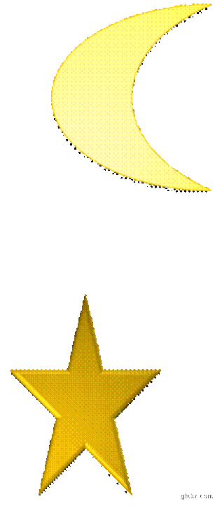 Animated GIF made with Gickr