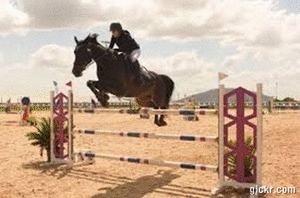 Animated GIF made with Gickr