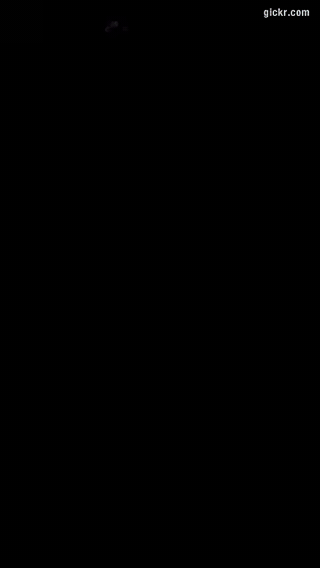 Animated GIF made with Gickr