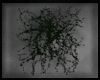 Animated GIF made with Gickr