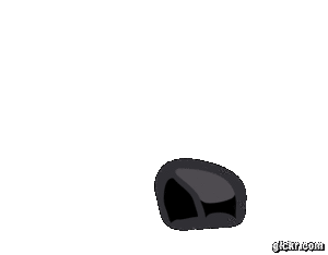 Animated GIF made with Gickr