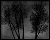 Animated GIF made with Gickr