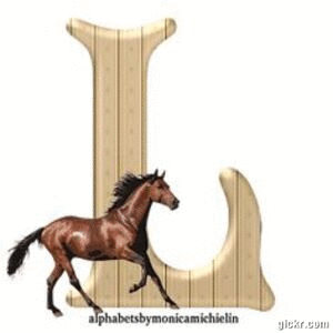 Animated GIF made with Gickr