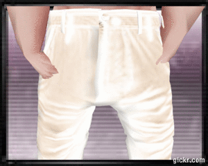 Animated GIF made with Gickr