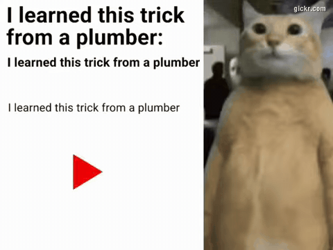 Animated GIF made with Gickr