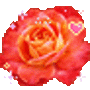 Animated GIF made with Gickr