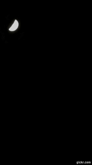 Animated GIF made with Gickr