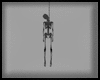 Animated GIF made with Gickr