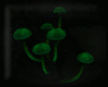 Animated GIF made with Gickr