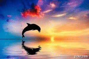 Animated GIF made with Gickr