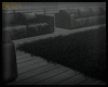 Animated GIF made with Gickr