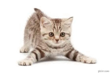 Animated GIF made with Gickr
