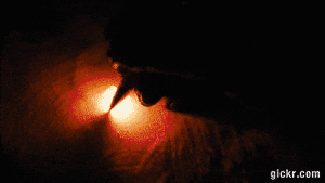 Animated GIF made with Gickr
