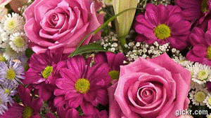 Animated GIF made with Gickr