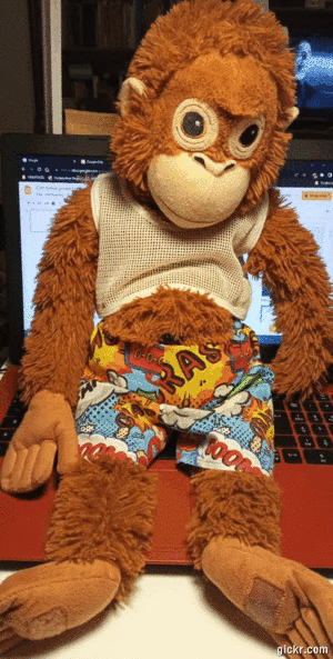 Animated GIF made with Gickr