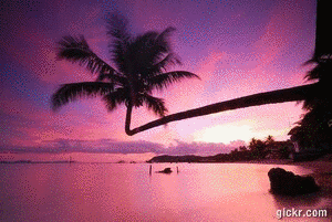 Animated GIF made with Gickr