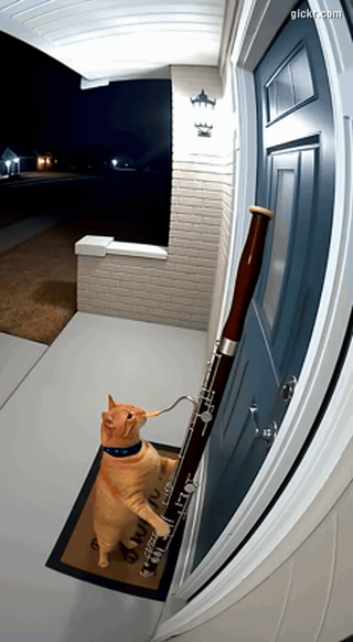 Animated GIF made with Gickr