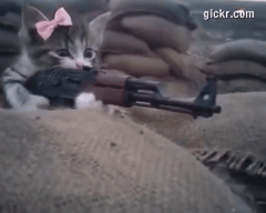 Animated GIF made with Gickr