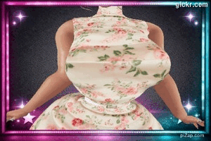 Animated GIF made with Gickr