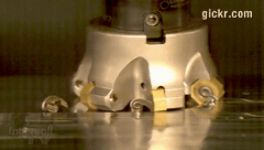 Animated GIF made with Gickr