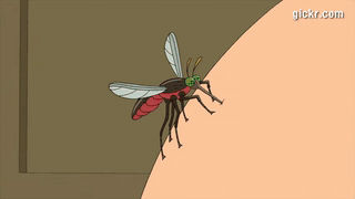 Animated GIF made with Gickr