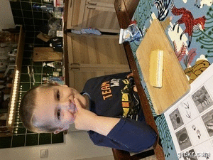 Animated GIF made with Gickr