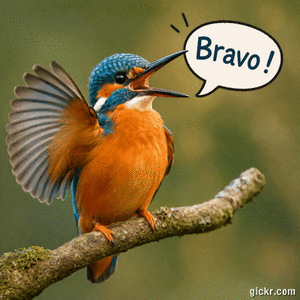 Animated GIF made with Gickr