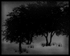 Animated GIF made with Gickr
