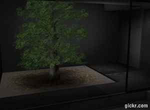 Animated GIF made with Gickr