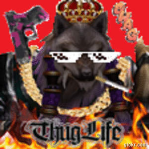 Animated GIF made with Gickr