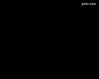 Animated GIF made with Gickr