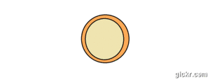 Animated GIF made with Gickr