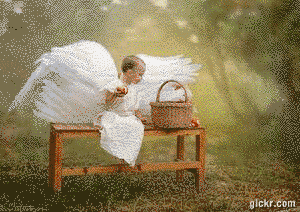 Animated GIF made with Gickr
