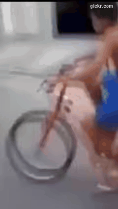Animated GIF made with Gickr