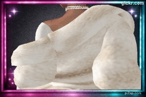 Animated GIF made with Gickr
