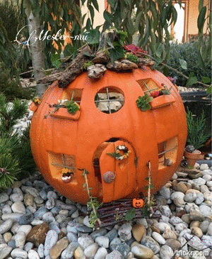 Animated GIF made with Gickr