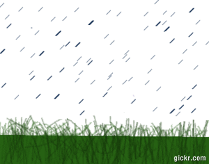 Animated GIF made with Gickr
