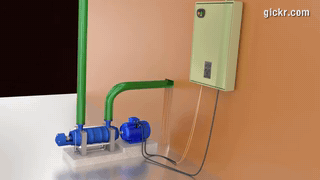 Animated GIF made with Gickr