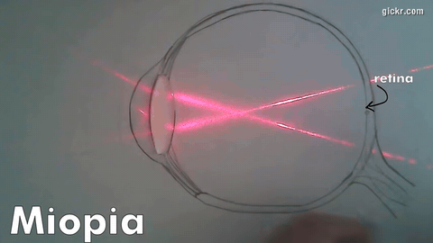 Animated GIF made with Gickr